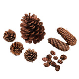 Christmas Natural Pine Cones Pinecone Decor Xmas Tree Decoration