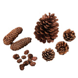 Christmas Natural Pine Cones Pinecone Decor Xmas Tree Decoration