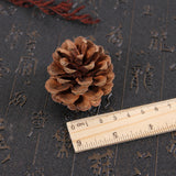 Christmas Natural Pine Cones Pinecone Decor Xmas Tree Decoration