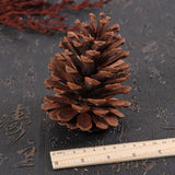 Christmas Natural Pine Cones Pinecone Decor Xmas Tree Decoration