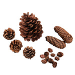 Christmas Natural Pine Cones Pinecone Decor Xmas Tree Decoration