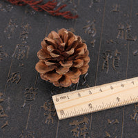 Christmas Natural Pine Cones Pinecone Decor Xmas Tree Decoration