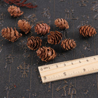 Christmas Natural Pine Cones Pinecone Decor Xmas Tree Decoration